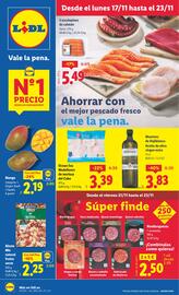 Catálogo Lidl semana 47 Página 1