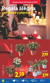 Catálogo Lidl semana 47 Página 50