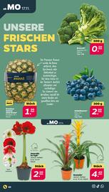 NETTO Prospekt woche 47 Seite 2