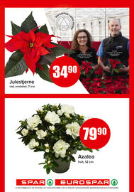 Eurospar kundeavis uke 46 Side 15