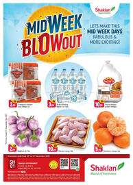 Shaklan leaflet Page 1