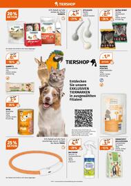 Müller Prospekt woche 46 Seite 17