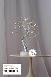 Sinsay gazetka tydzień 46 Strona 12