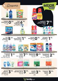 Catálogo Family Cash Página 13