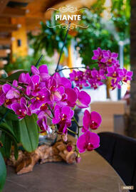 Volantino Italmark Pagina 56