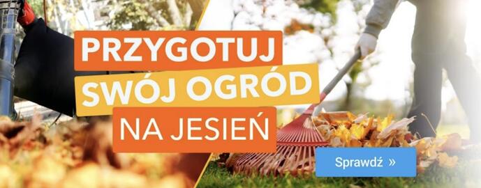 Avans gazetka Strona 5