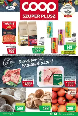 Coop akciós újság (érvényes eddig: 19-11)