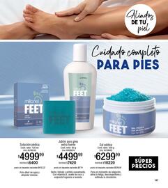 Catálogo Millanel Cosmética Página 173