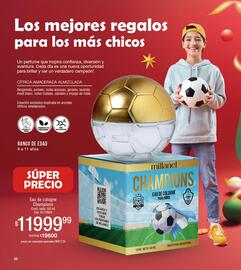 Catálogo Millanel Cosmética Página 32