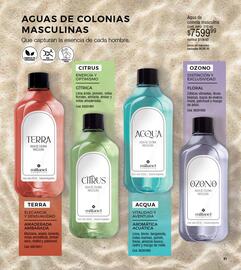 Catálogo Millanel Cosmética Página 63