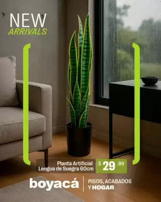 Catálogo Boyacá (válido hasta 23-11)