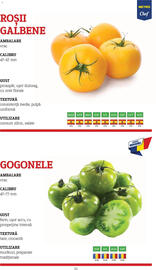 Catalog Metro Pagină 11