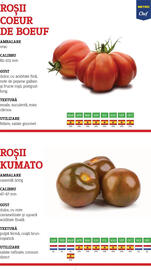 Catalog Metro Pagină 4