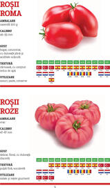 Catalog Metro Pagină 5