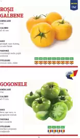 Catalog Metro Pagină 11