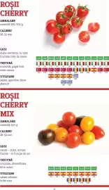 Catalog Metro Pagină 6