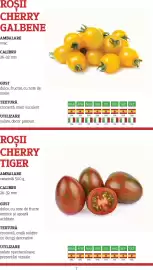 Catalog Metro Pagină 7