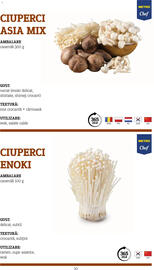 Catalog Metro Pagină 10