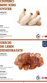 Catalog Metro Pagină 13