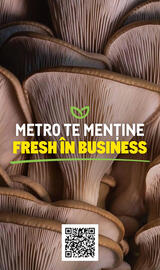 Catalog Metro Pagină 16