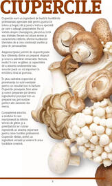 Catalog Metro Pagină 2