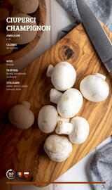 Catalog Metro Pagină 3