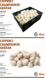 Catalog Metro Pagină 4