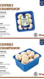 Catalog Metro Pagină 5