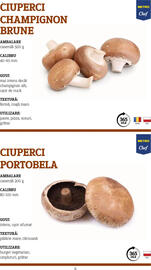 Catalog Metro Pagină 6