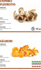 Catalog Metro Pagină 7