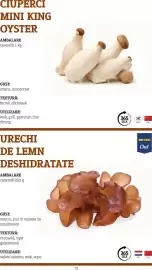 Catalog Metro Pagină 13