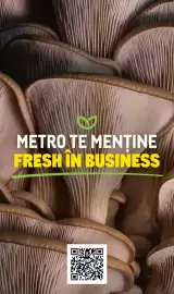 Catalog Metro Pagină 16