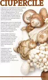 Catalog Metro Pagină 2