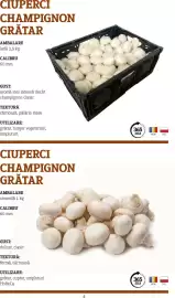 Catalog Metro Pagină 4