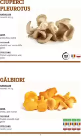 Catalog Metro Pagină 7