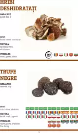 Catalog Metro Pagină 9