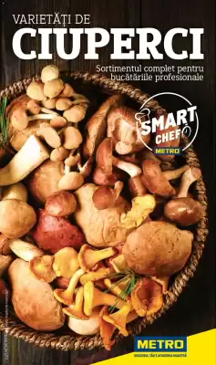 Catalog Metro (valid până la 31-12)