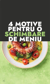 Catalog Metro Pagină 4