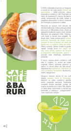 Catalog Metro Pagină 42