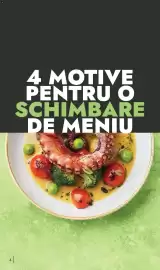 Catalog Metro Pagină 4