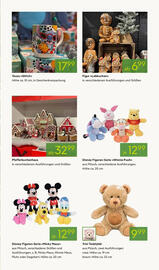 Pflanzen Kölle Prospekt Seite 11