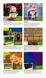 Pflanzen Kölle Prospekt Seite 15