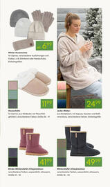 Pflanzen Kölle Prospekt Seite 17