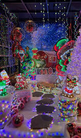 Pflanzen Kölle Prospekt Seite 18