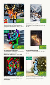 Pflanzen Kölle Prospekt Seite 19