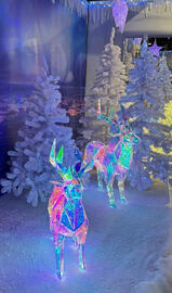 Pflanzen Kölle Prospekt Seite 2