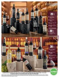 Catálogo Jumbo Página 13