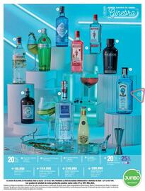 Catálogo Jumbo Página 9