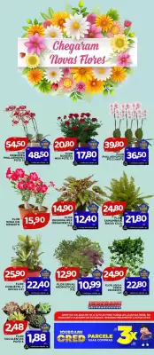 Catálogo Iquegami Supermercados (válido até 12-11)