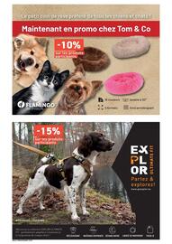 Catalogue Tom&Co page 4